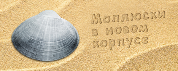 30.11.2016_iron-mollusk4.jpg 30.11.2016_iron-mollusk4.jpg