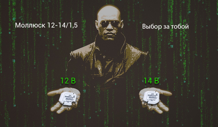 29.09.2016_the_matrix.jpg